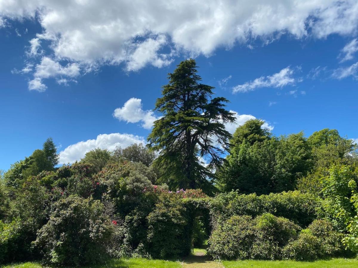 Woodland Cottage Charleton Estate Colinsburgh Εξωτερικό φωτογραφία